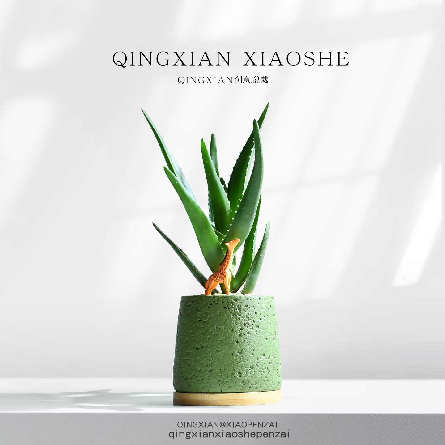 芦荟创意盆栽桌面好养活绿植办公室净化空气多肉生日礼物植物摆件