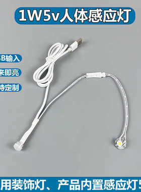 USB插口5v输入红外感应延时关闭人体感应开关led玩偶手办展示台灯