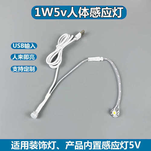 5v人体感应开关智能灯支持定制