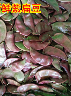 扁豆新鲜现摘广西农家露天紫眉豆红扁豆扁豆角荚芸豆时令新鲜蔬菜
