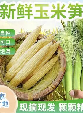 玉米笋新鲜蔬菜带箱10斤水果甜玉米带皮带须小玉米芯玉米棒玉米笋