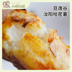 美国小晖豆逸谷汝阳冰糖哈密薯新鲜现挖营养软糯香甜红薯地瓜品发