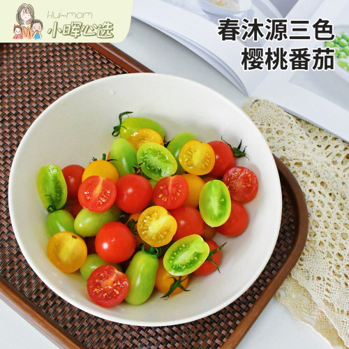 美国小晖春沐源三色樱桃串番茄小番茄浓郁多汁风味十足品发