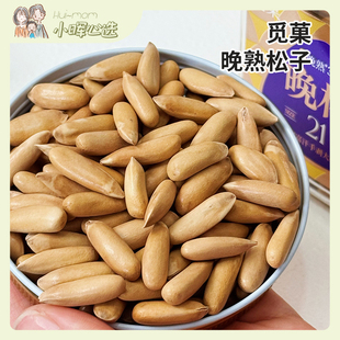 美国小晖觅菓晚熟松子阿富汗手剥大松子原香晚熟30天精选薄皮品发