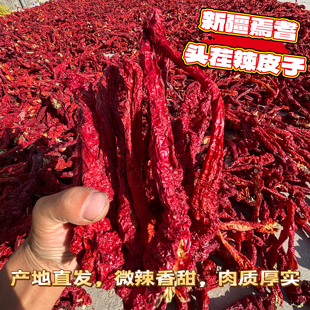 2025年新疆焉耆特色辣皮子猪大肠500克包邮大盘鸡辣椒肉辣椒产地