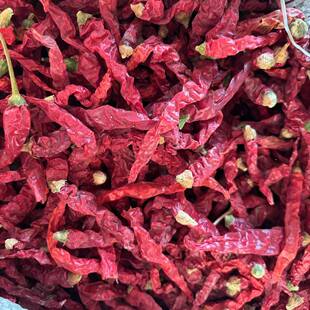 2025年新疆线椒大盘鸡辣椒香辣辣椒安集海线辣椒香辣味辣椒粉