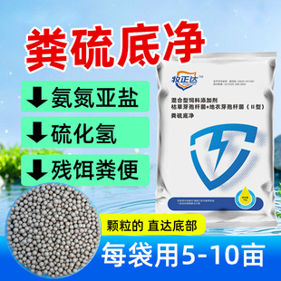 粪硫菌团颗粒水产养殖专用硫细菌鱼塘底改水体恶化除黑除臭底改王