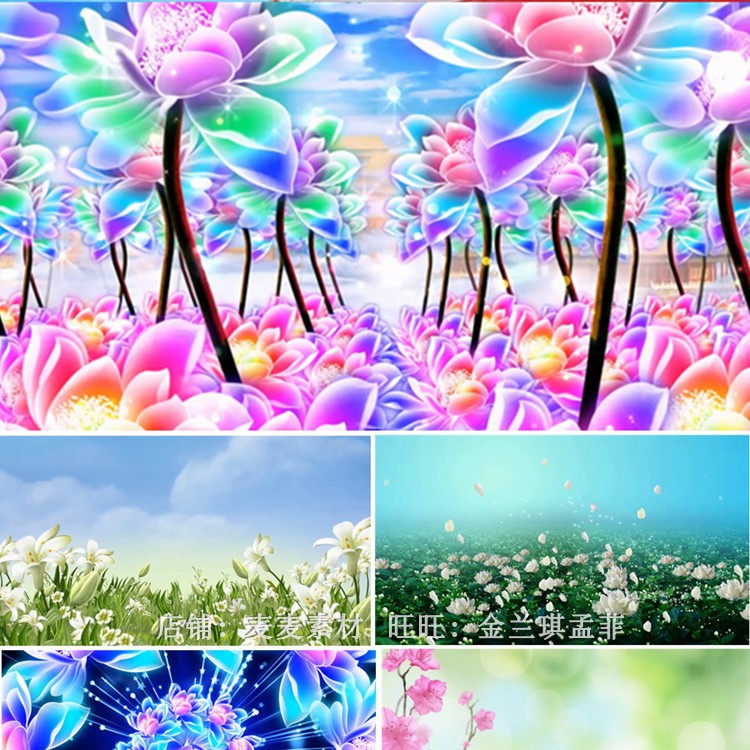 那些花儿配乐成品 舞蹈背景演出 led动态视频 那些花儿 花朵儿歌