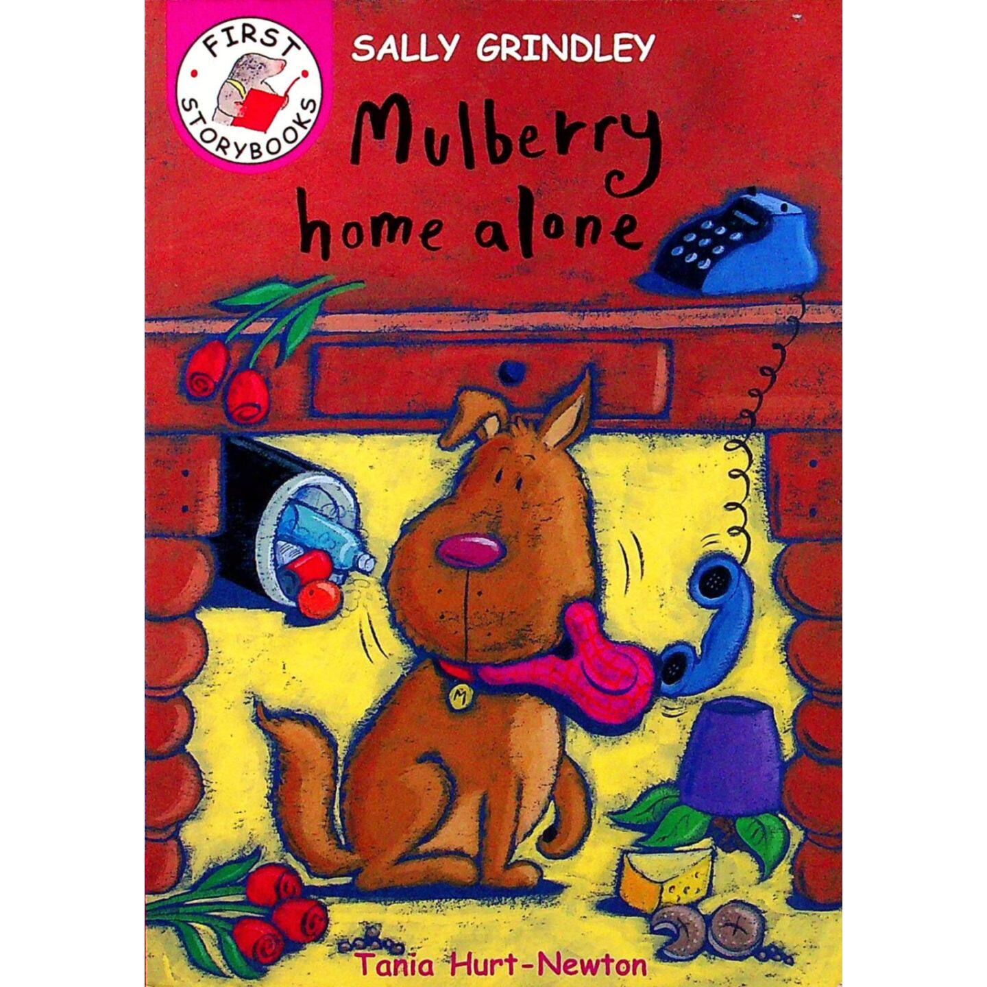 英语原版引进FirstStorybooks系列Mulberry独自在家亲子共读绘本由英国作家SallyGrindley创作插画家TaniaHurtNewton绘制讲述狗