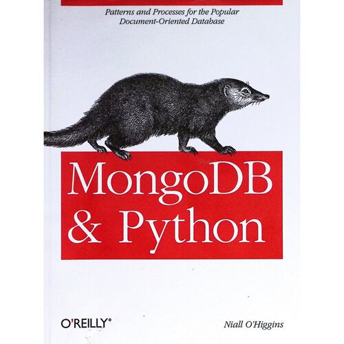 英文原版图书MongoDB编程指南