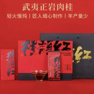 泽悟桂馥红特级正岩肉桂茶51g6泡正宗武夷岩茶佳品媲美马头岩肉桂