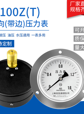 轴向带边压力表 Y100-Z Y100-ZT 真空压力表 油压水压 上海仪民