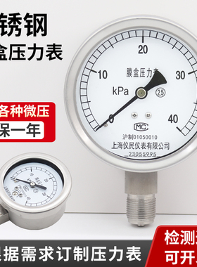 YE100BF 不锈钢膜盒压力表 微压表 膜片 天然气kpa mbar 上海仪民