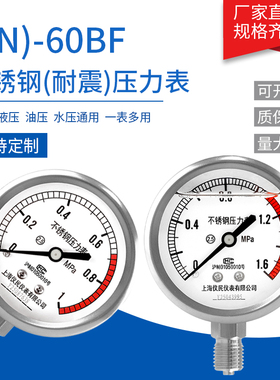 不锈钢压力表 Y60BF YN60BF 不锈钢耐震 高温氨用 上海仪民 东亚