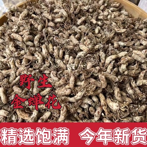 河源精选金蝉花2024年新货竹林中药材虫草粉可泡酒500克煲汤材料