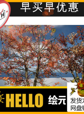 UE5.1树木灌木草模型Vegetation Pack Vegetations Trees Bushes