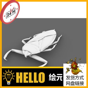 昆虫动物 田鳖虫子 犀牛建模rhino/C4D/3Dmax/maya模型obj