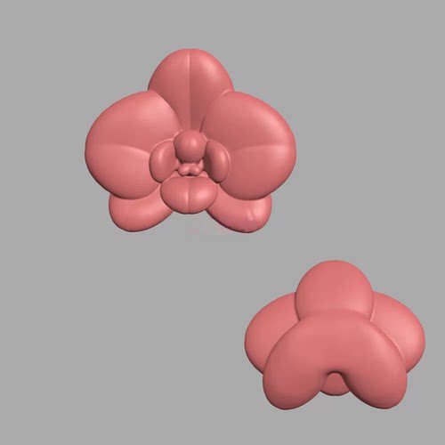 新款胖胖的蝴蝶兰可爱花朵立体圆雕图STL机雕玉雕文件3D素材E75