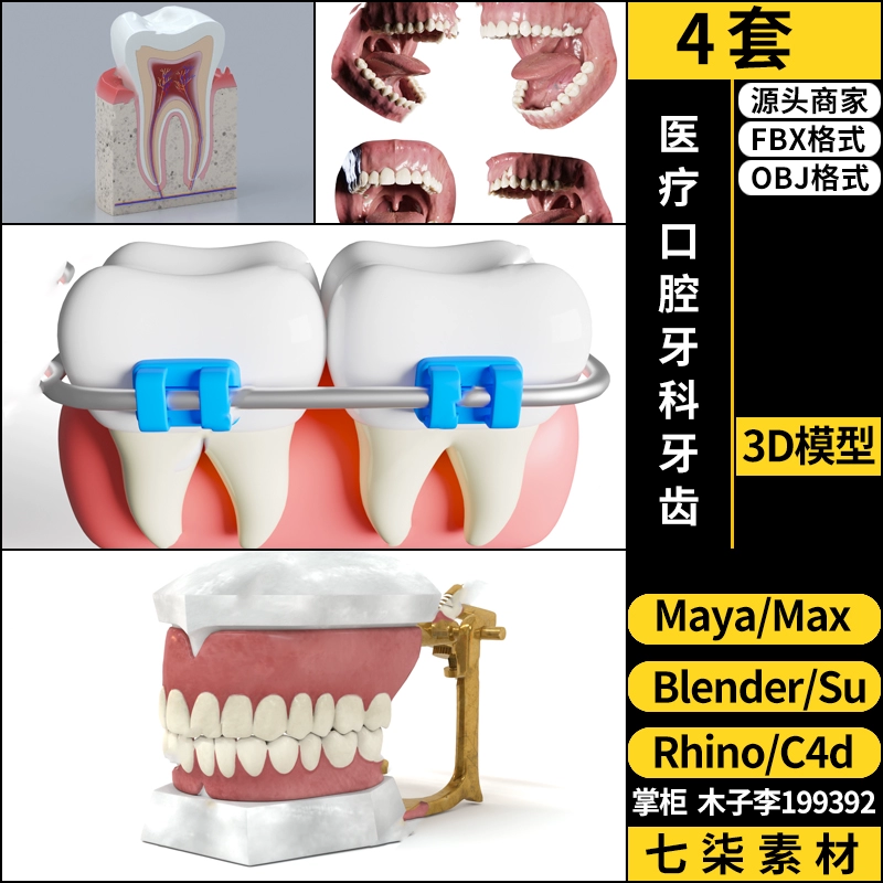 maya医疗口腔牙科牙齿SU/blender/C4D/Rhino犀牛3Dmax模型FBX OBJ