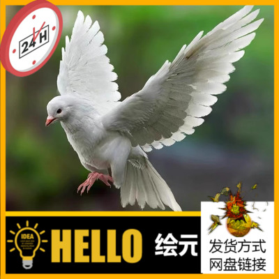 maya高写实鸟类白鸽子绑定骨骼肌肉3D模型C100有控制器turbosquid
