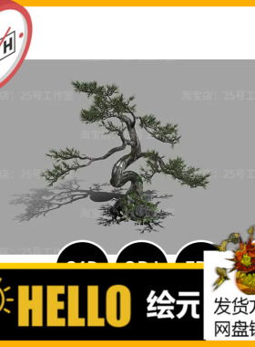 松树盆栽3D模型blender建模C4D素材OBJ文件植物1793