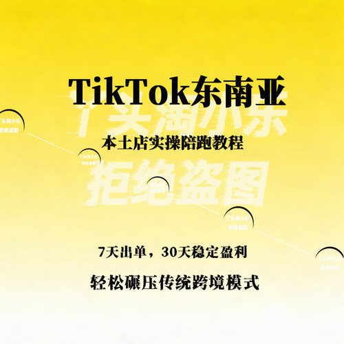 TK东南亚本土店实操陪跑教程7天出单30天稳定盈利碾压传统模式