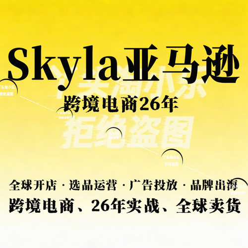 Skyla亚马逊跨境电商26年全球开店选品运营广告投放品牌出海实战
