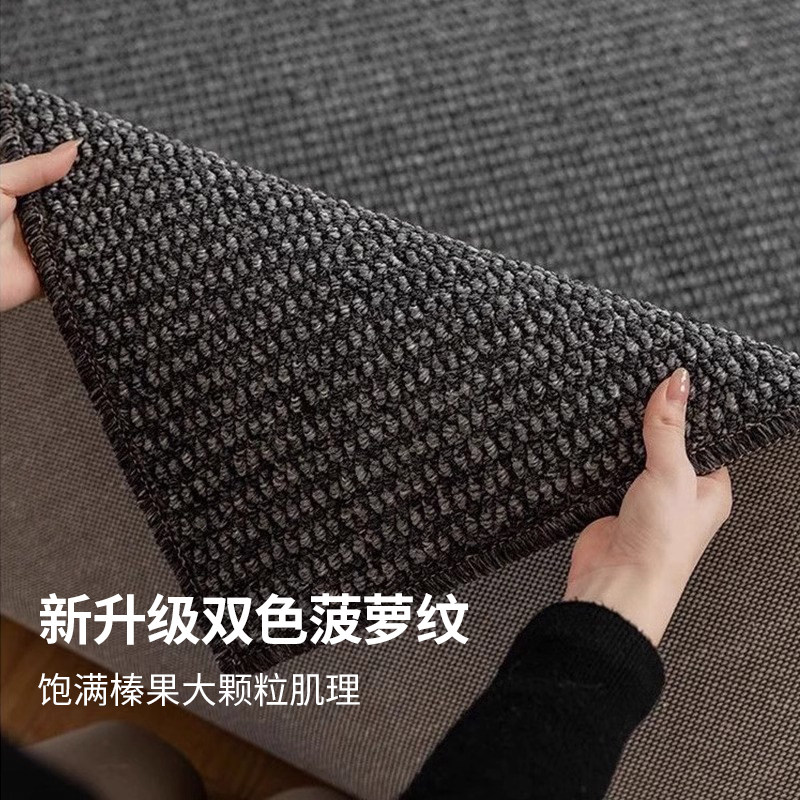 客厅地毯深色轻奢极简黑灰色沙发卧室地垫床边高级感彷剑麻猫抓毯