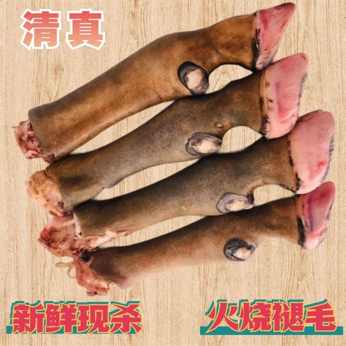 清真现宰生羊蹄火燎褪毛新鲜带筋