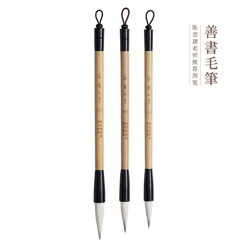 陈忠建老师推荐善书毛笔晋元堂手工楷书行书文房四宝初学者练习笔