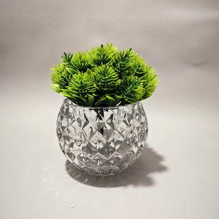 2024新款绿萝水晶精致高端圆大肚子花瓶矮款宽口高档加厚玻璃摆件