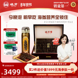 【干参礼盒】晓芹12小时干海参250克免煮净干速发辽刺参送泡发杯