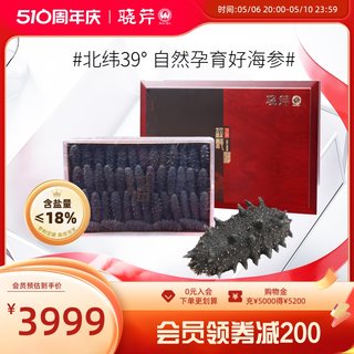 晓芹淡干海参 大连海参 海参干货 41-50头 250g  海参礼盒