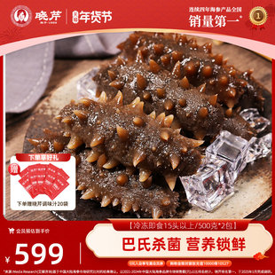 【店长推荐】晓芹大连即食海参1000克30-40头大连辽刺参500克*2袋