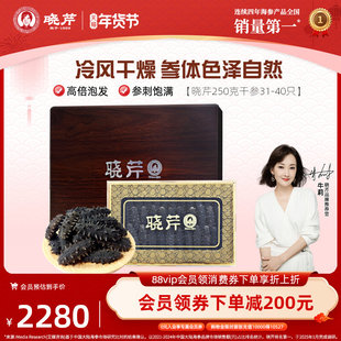 【节日礼盒】晓芹 干海参礼盒 250克/31-40只 辽刺参 正品 非即食
