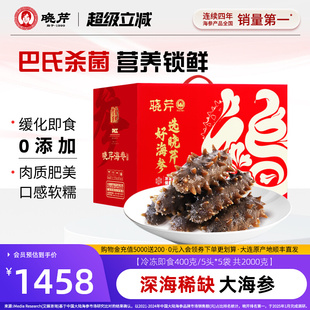 晓芹即食大海参4斤大参王辽刺参礼盒深海年限长2000g 海参礼盒