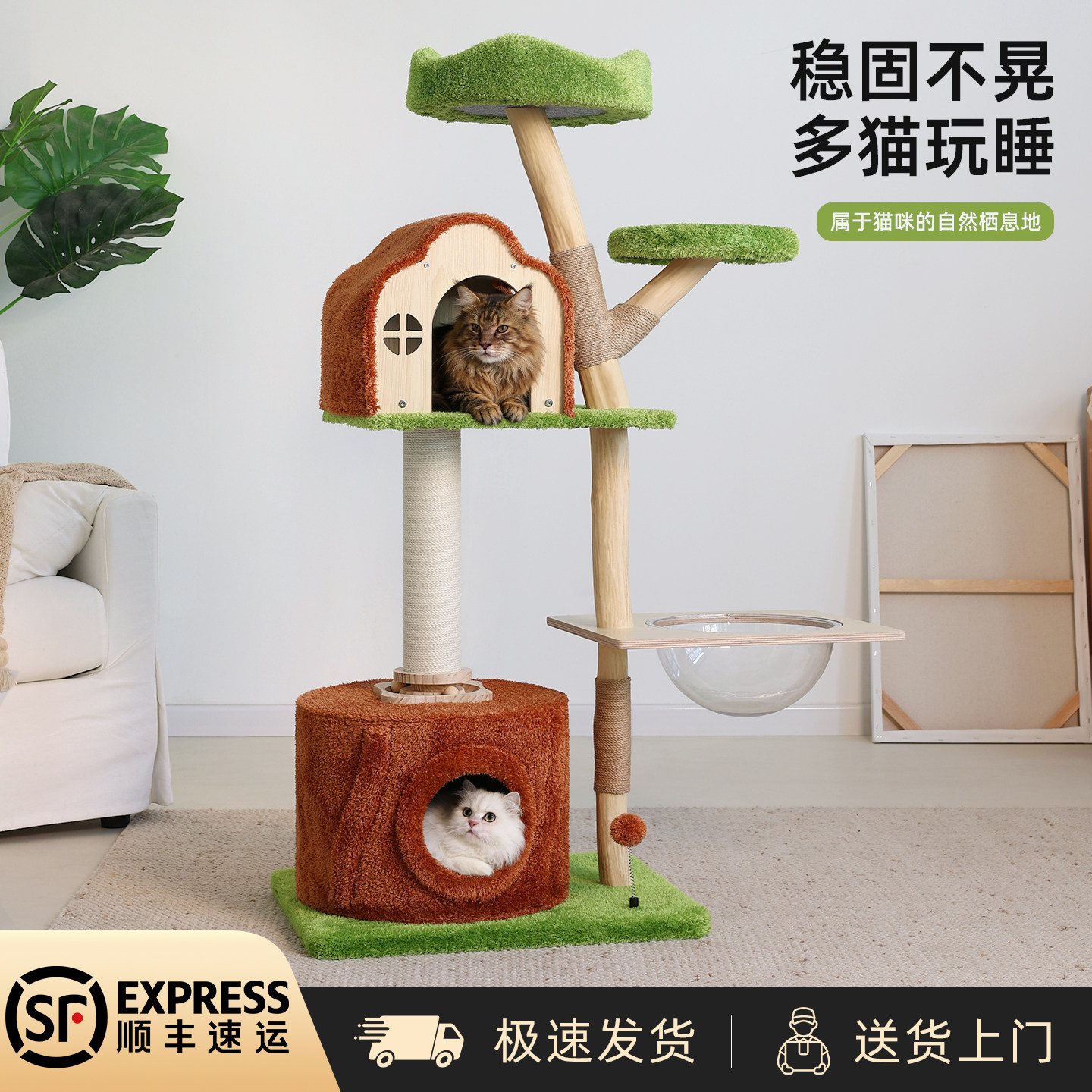 树洞实木猫爬架猫窝猫树一体四季通用太空舱大型猫架子家用不占地,宠物/宠物食品及用品,猫爬架,淘宝优惠券,粉丝福利购,淘宝优惠卷