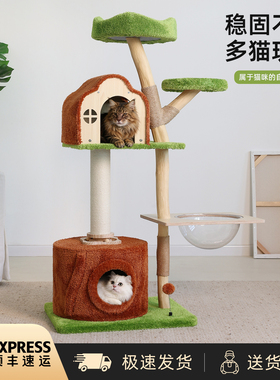 树洞实木猫爬架猫窝猫树一体四季通用太空舱大型猫架子家用不占地