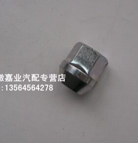 适用于新老凯越乐风乐骋景程轮胎螺母螺帽 铁钢圈用
