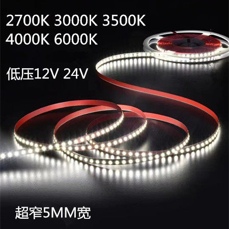 24Vled低压软灯带5mm2700k3500K