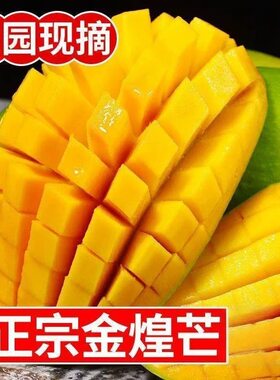 【生熟两吃】广西百色金煌芒甜心芒当季新鲜孕妇水果芒果整箱批发