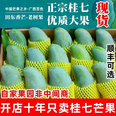 正宗广西百色田东桂七芒果新鲜热带水果当季现摘香甜10斤整箱大果