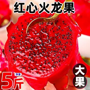 火龙果红心金都一号新鲜水果大果当季红肉密宝包邮5斤整箱广西