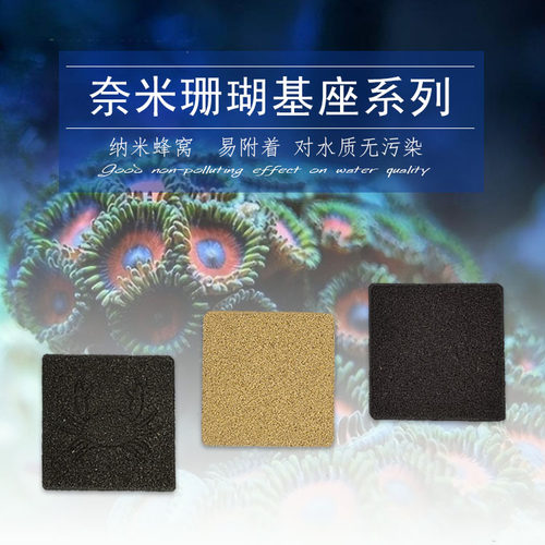 珊瑚纽扣繁殖用底座 sps断枝断肢奈米基座支架陶瓷方型黑色托盘