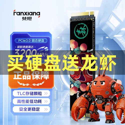 梵想S500proNVMe高速固态硬盘