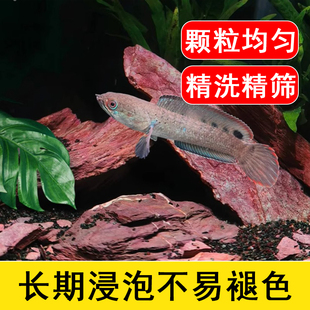 精洗青红沙偏暗灰青沙青灰红沙雷龙专用原生鱼缸造景沙雷龙底沙灰