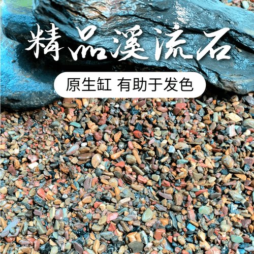 原生缸溪流沙鱼缸造景装饰铺底彩色底砂石乌龟古法缸鳑鲏虾虎河沙