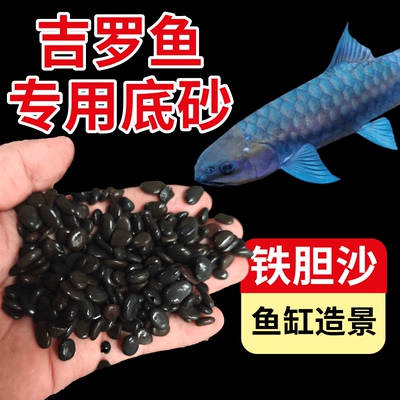 天然铁胆沙砂黑工沙鱼缸底砂造景小石子多肉铺面黑工砂园艺造景