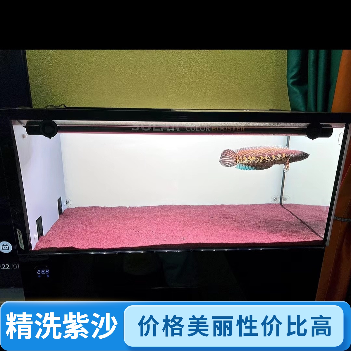 紫粉色懒人免洗鱼缸底砂