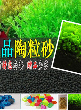 陶粒砂水草泥陶粒沙养水草种子